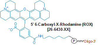 picture of ROX (6-Carboxyl-X-Rhodamine) NHS